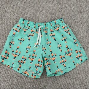Chubbies Trunks Swim Shorts Mens Medium Lined Cactus Mint Green 5" Inseam